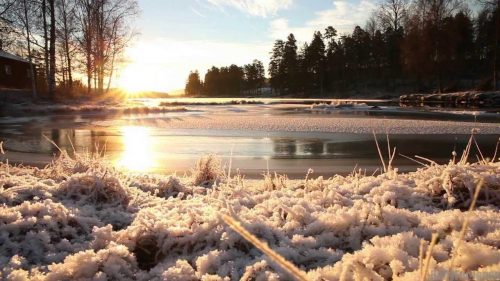 RallyFunJapan | Petter Solberg Adventure Center