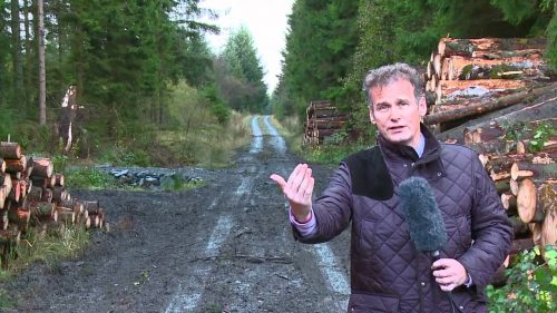 RallyFunJapan | #WRC GB - Colin Clark Preview