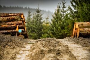 新イベントWRCラリー・スコットランド2027で英国が復帰