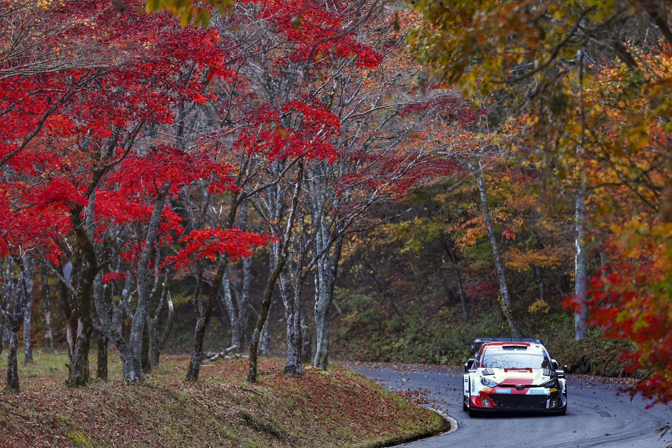 RallyFunJapan | WRC 第13戦 ラリージャパン 2023 プレビュー RallyFunJapan | WRC 第13戦 ラリージャパン 2023 プレビュー