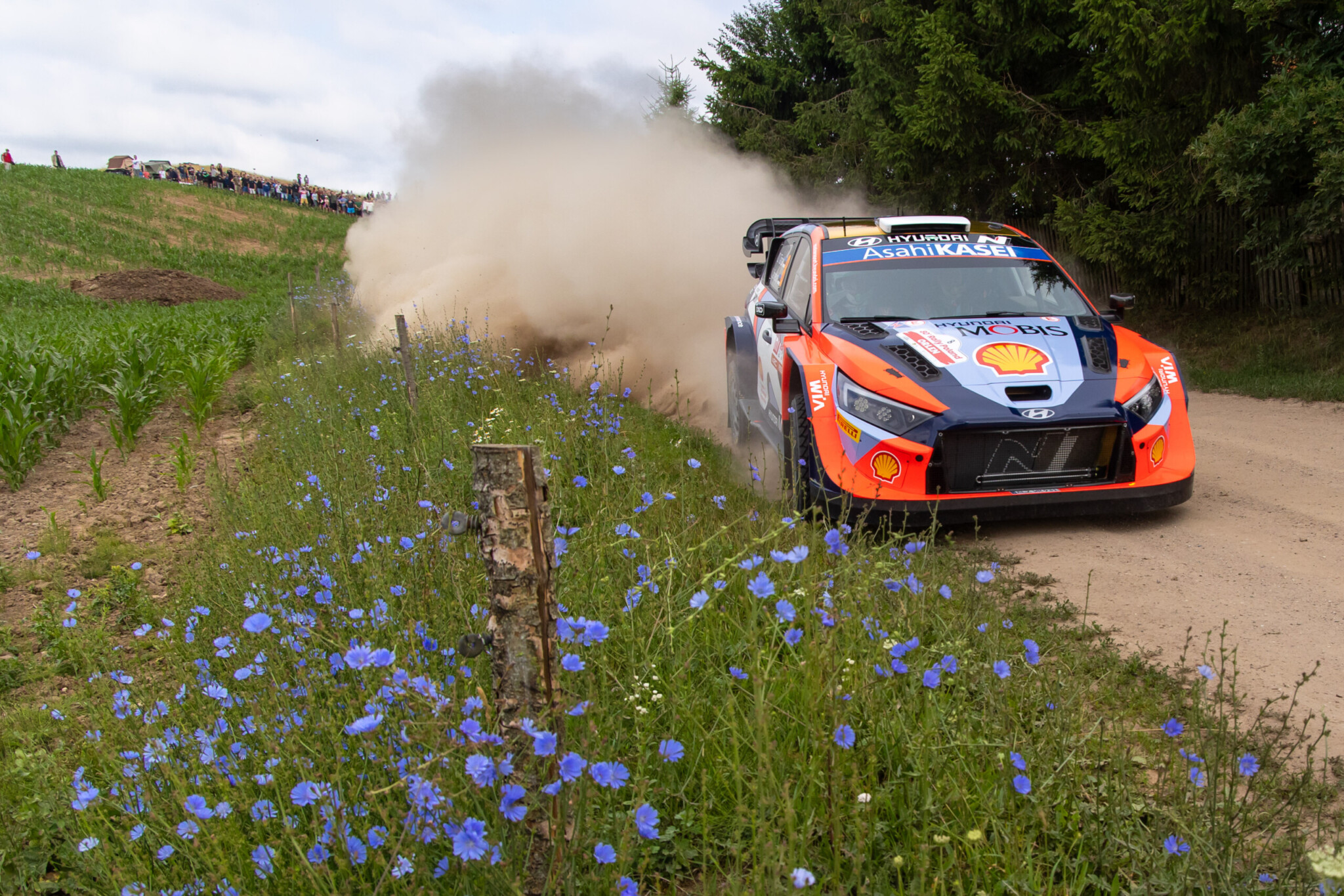 RallyFunJapan | WRC 2024 RALLY LATVIA プレビュー / 初開催の高速グラベル RallyFunJapan | WRC 2024 RALLY LATVIA プレビュー / 初開催の高速グラベル