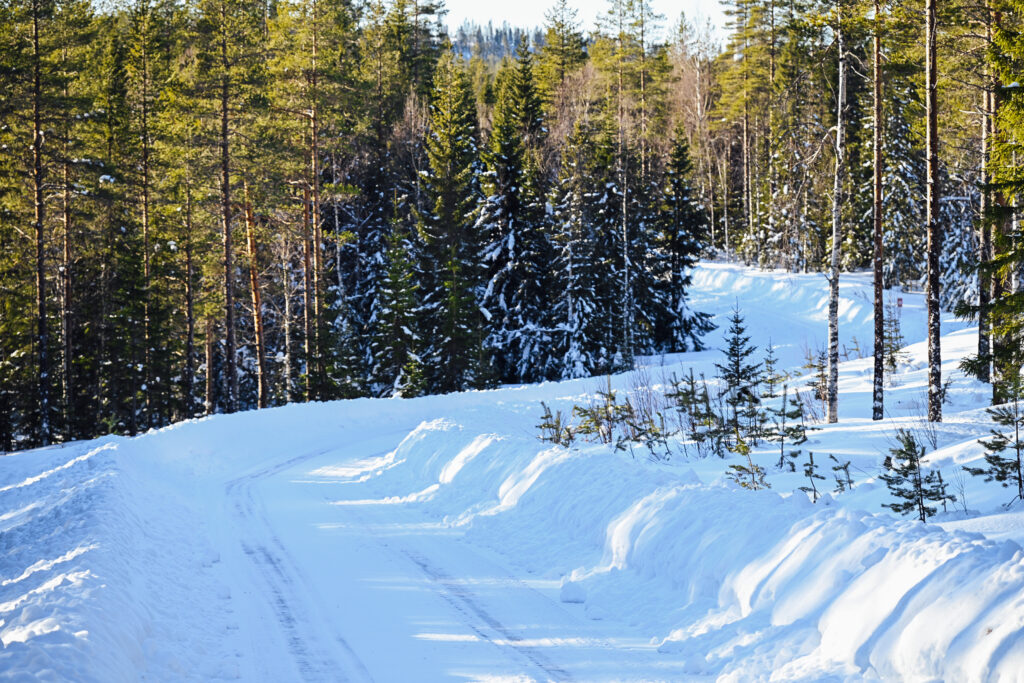 RallyFunJapan | WRC 2025 Rally Sweden DAY1 : エバンス首位、勝田貴元僅差の2位